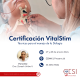 Certificación VitalStim